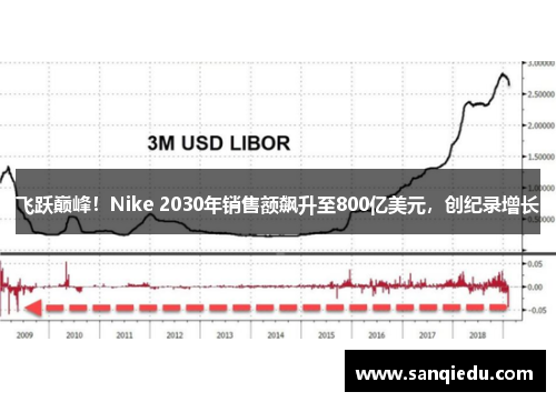 飞跃巅峰！Nike 2030年销售额飙升至800亿美元，创纪录增长