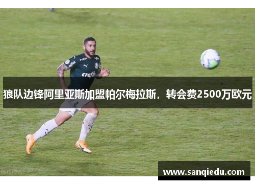 狼队边锋阿里亚斯加盟帕尔梅拉斯，转会费2500万欧元